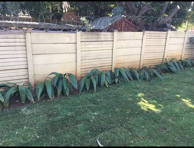 3 BEDROOM PROPERTY TO RENT IN EAST LYNNE